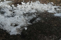 C�������� 2022