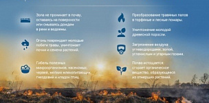 ����������� ���� �����