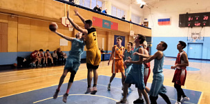 19               .           .       2009. 68-53  2008. 