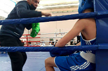 VIII ��������������� ������ �� ����� ������ �� ������ ������ �������