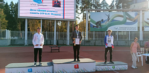  .           ...           :