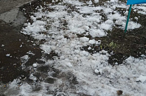 C�������� 2022