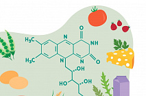 �������� �������