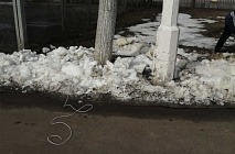 C�������� 2022