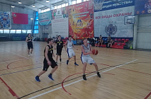 ���������� ���������� ������� �� ���������� ����� ������ ������ 2006, 2007, 2008, 2009 �.�.�.