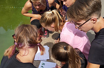 ������ ������ ����� ��� ����������� ��������� ������ ��������