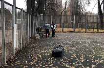      "     ,    .              "     ,   