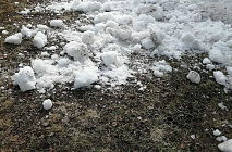 C�������� 2022