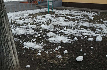 C�������� 2022