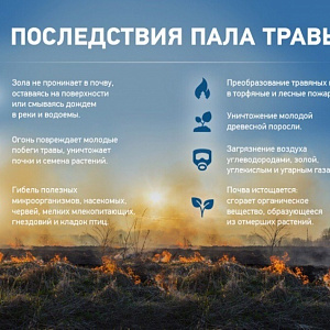 ����������� ���� �����