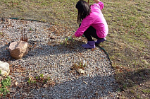 ���������� � ������������ ��������� �������� ������� � �������� �����������