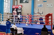 XIII ������ ������ ������� ������ ������ ������ �������