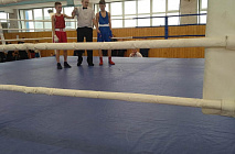 11 - 12 ����� � �.  �������� ������ ���������� ���������� ������� �� ����� ����� ������� ������ (2009-2010 ��.�.).